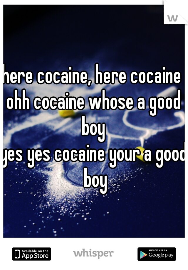 here cocaine, here cocaine 
ohh cocaine whose a good boy 
yes yes cocaine your a good boy