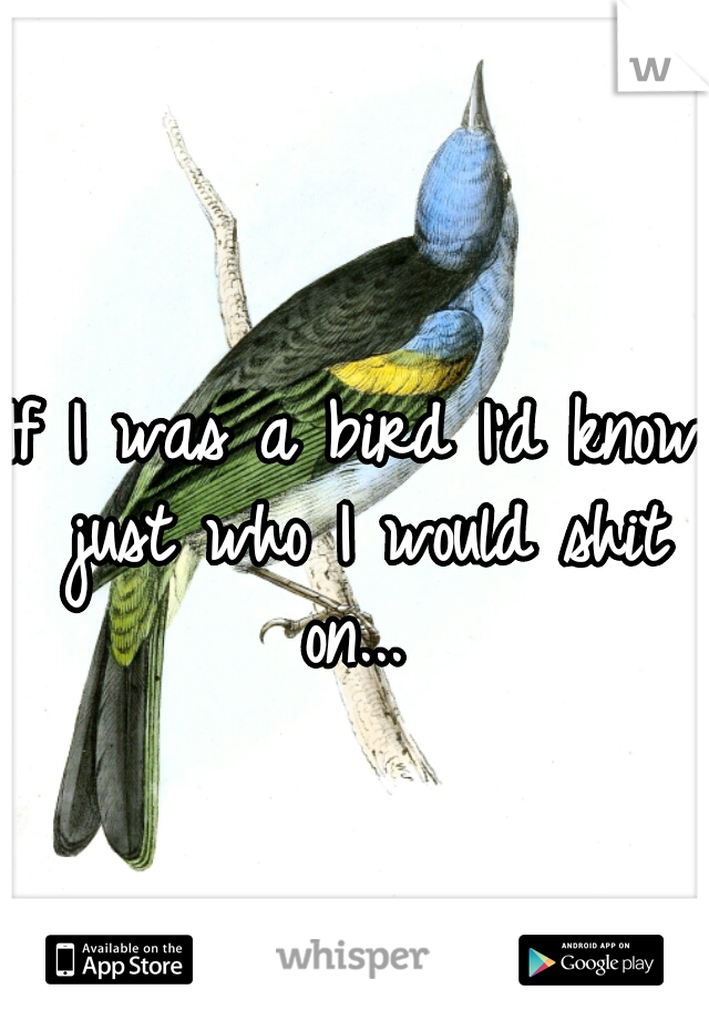 If I was a bird I'd know just who I would shit on... 