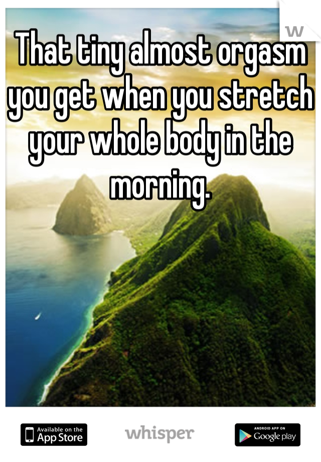 That tiny almost orgasm you get when you stretch your whole body in the morning.