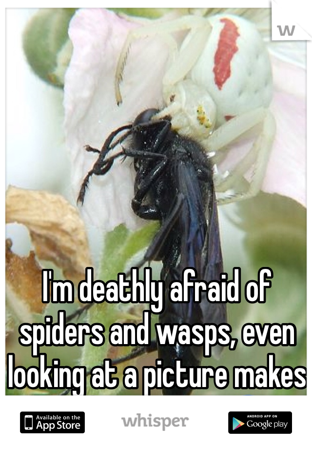 I'm deathly afraid of spiders and wasps, even looking at a picture makes me feel uneasy. 😰