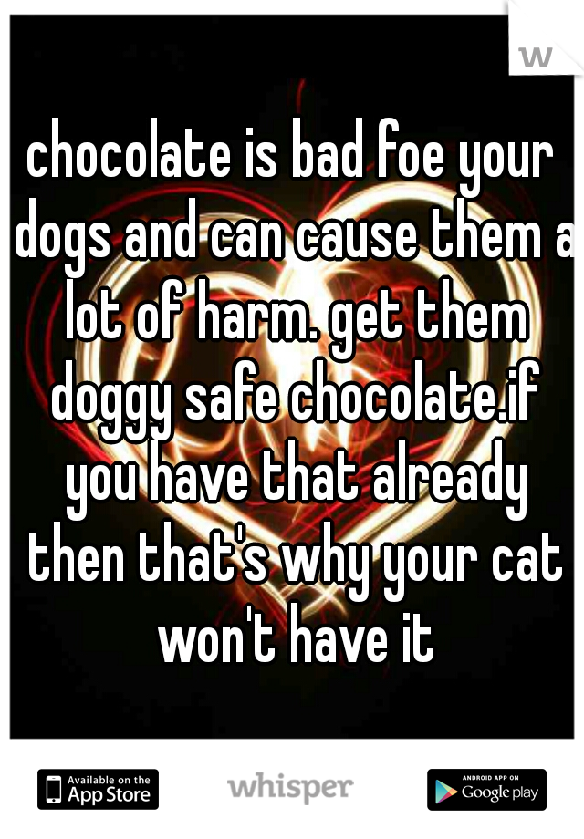 chocolate is bad foe your dogs and can cause them a lot of harm. get them doggy safe chocolate.if you have that already then that's why your cat won't have it