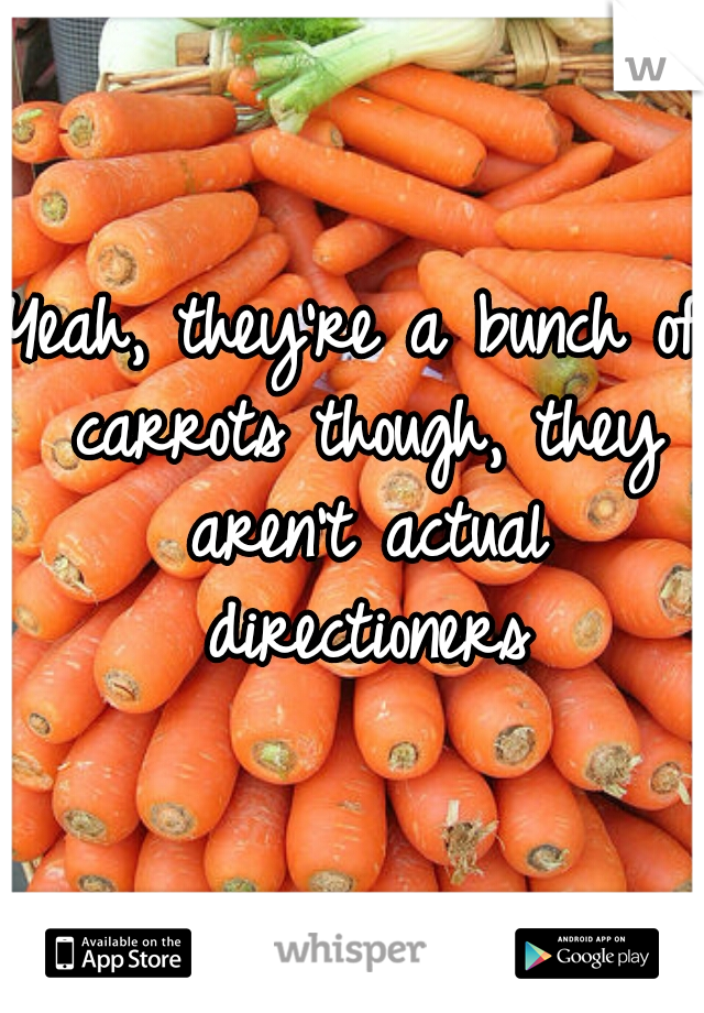 Yeah, they're a bunch of carrots though, they aren't actual directioners