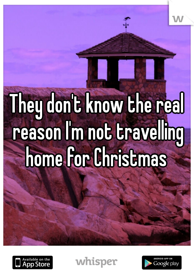 They don't know the real reason I'm not travelling home for Christmas 