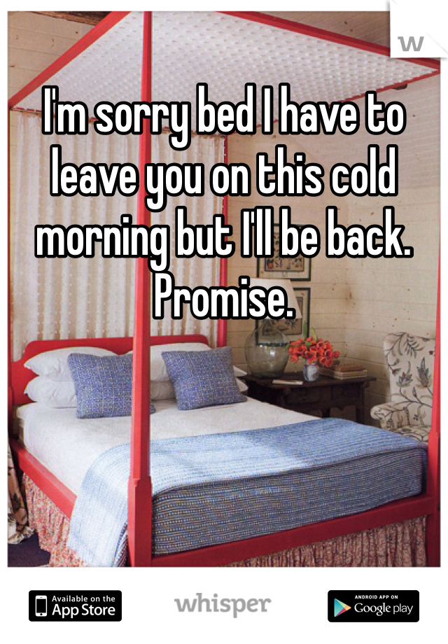 I'm sorry bed I have to leave you on this cold morning but I'll be back. Promise. 