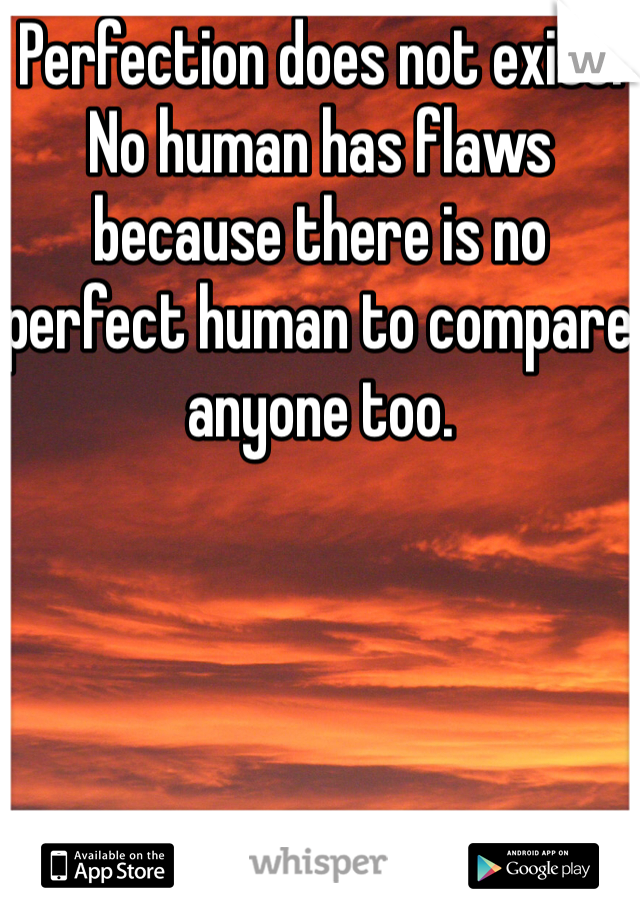 Perfection does not exist. No human has flaws because there is no perfect human to compare anyone too. 