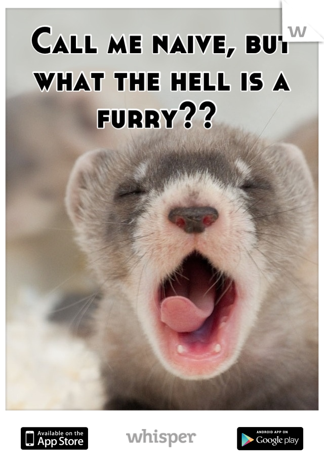 Call me naive, but what the hell is a furry?? 