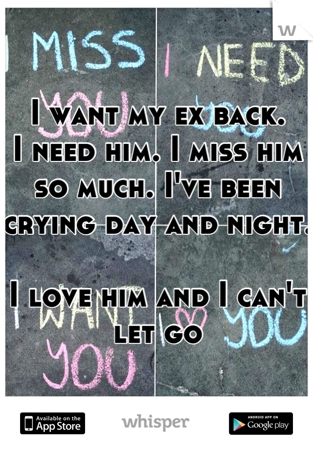 I want my ex back.
I need him. I miss him so much. I've been crying day and night.

I love him and I can't let go
