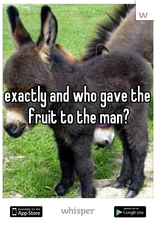 exactly and who gave the fruit to the man?