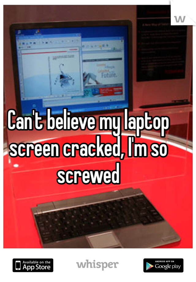 Can't believe my laptop screen cracked, I'm so screwed 
