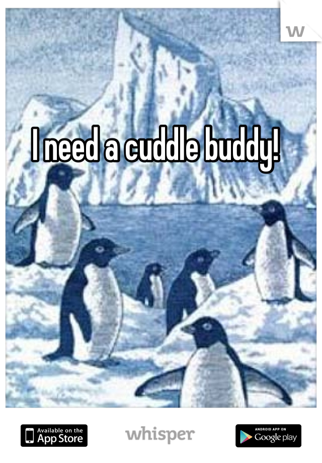 I need a cuddle buddy! 