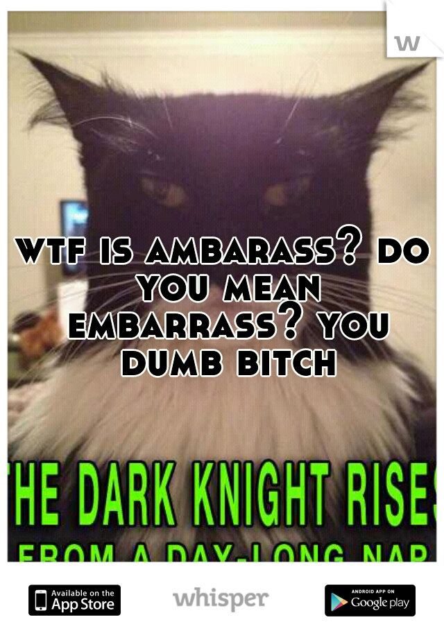 wtf is ambarass? do you mean embarrass? you dumb bitch
