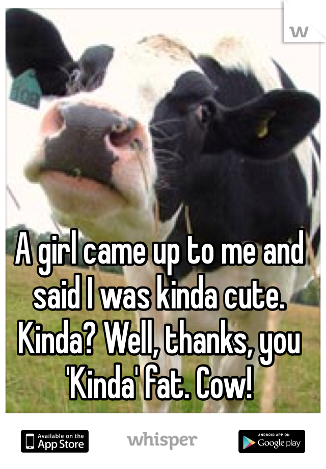 A girl came up to me and said I was kinda cute. Kinda? Well, thanks, you 'Kinda' fat. Cow!