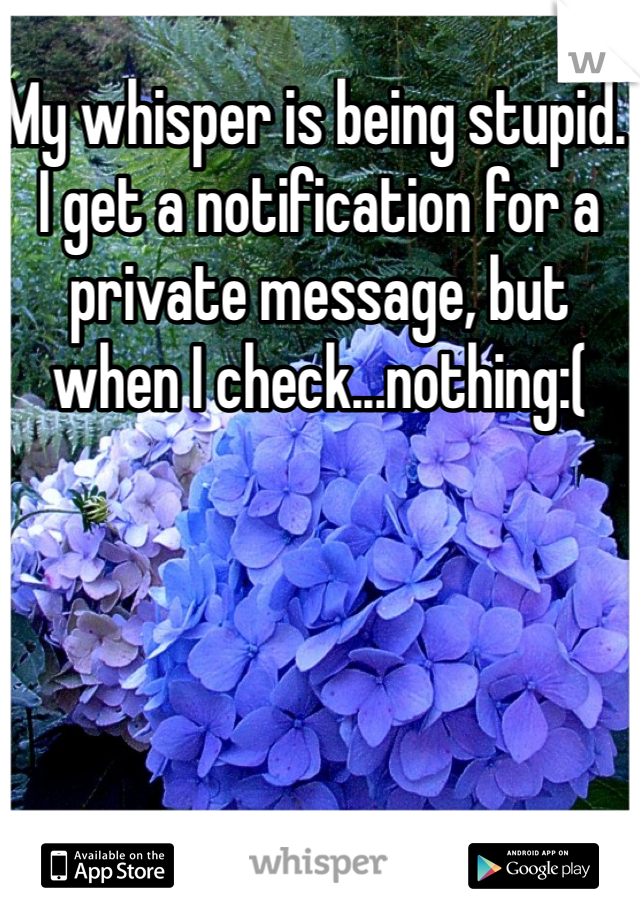 My whisper is being stupid. I get a notification for a private message, but when I check...nothing:(