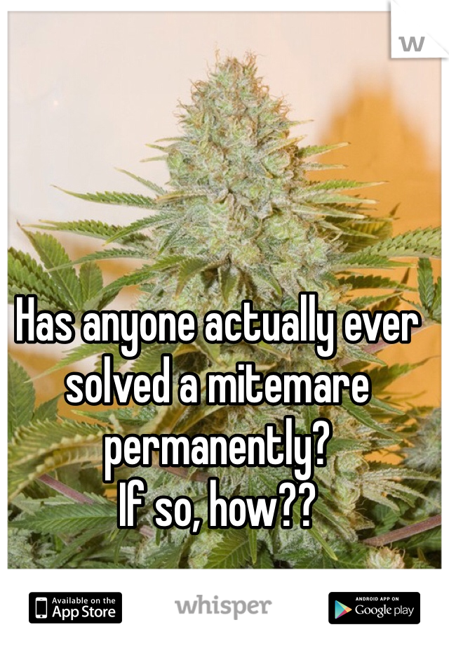 Has anyone actually ever solved a mitemare permanently?
If so, how??