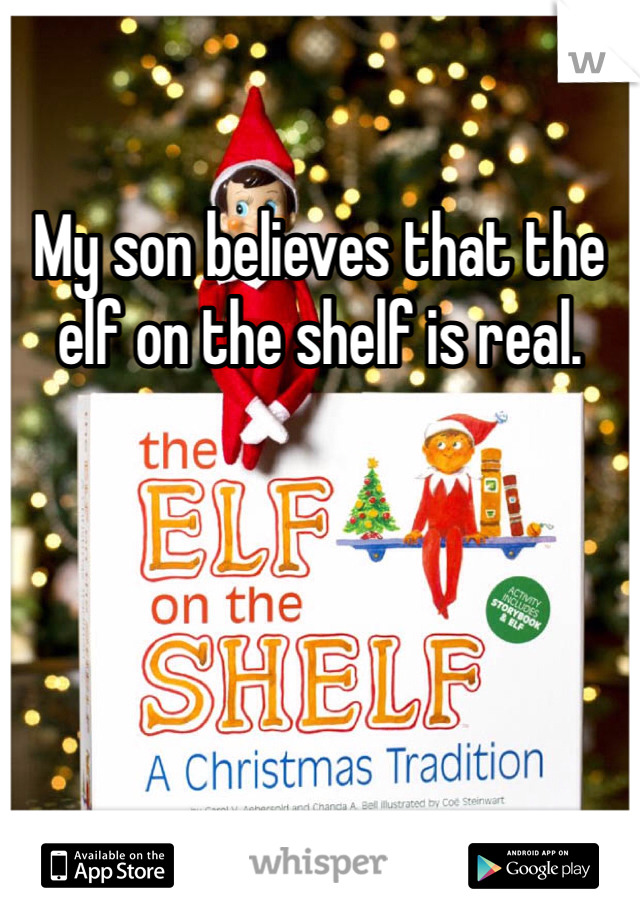 My son believes that the elf on the shelf is real.