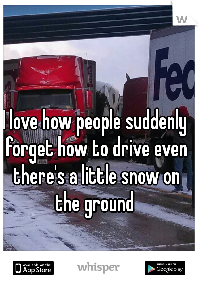 I love how people suddenly forget how to drive even there's a little snow on the ground 