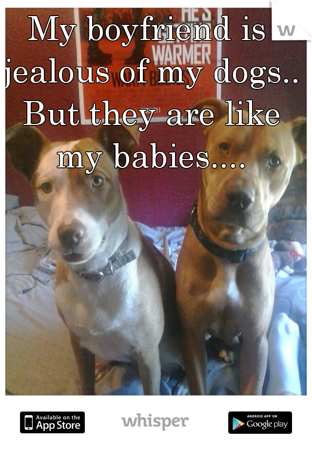 My boyfriend is jealous of my dogs.. But they are like my babies....