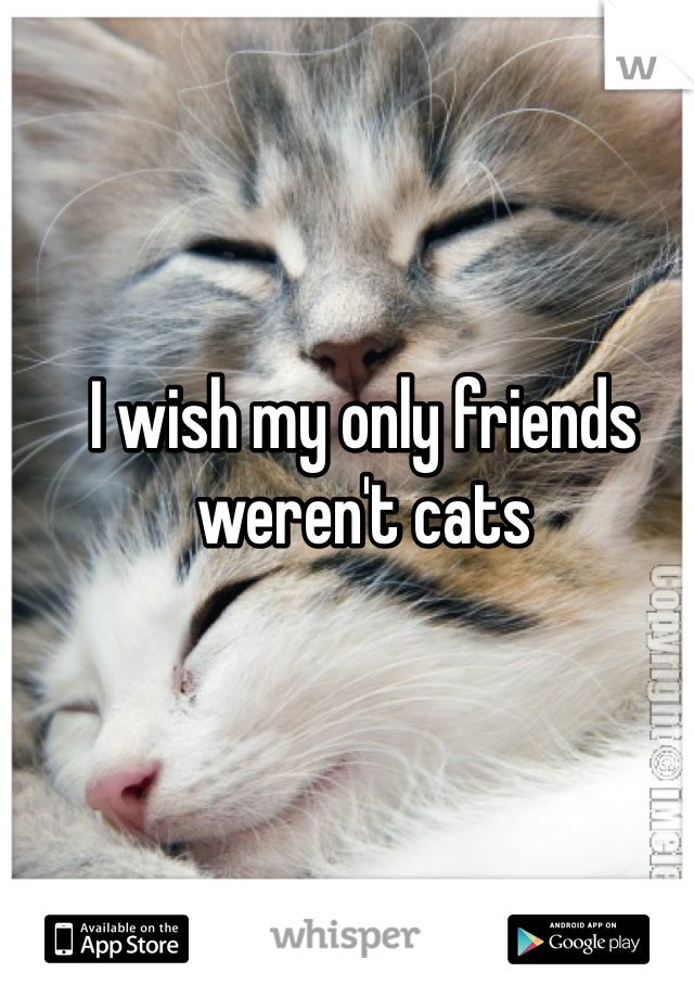 I wish my only friends weren't cats