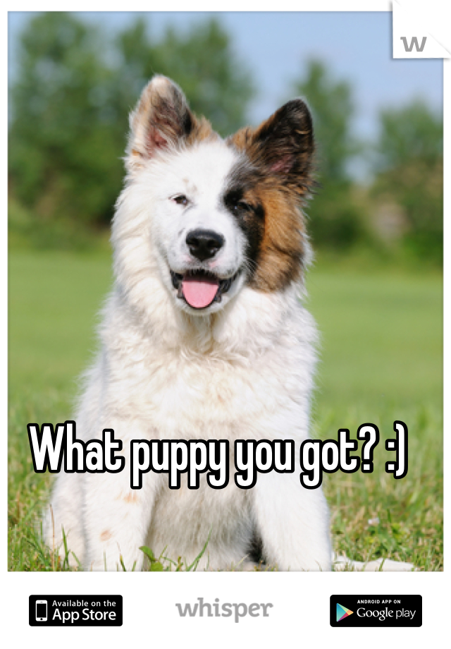 What puppy you got? :) 
