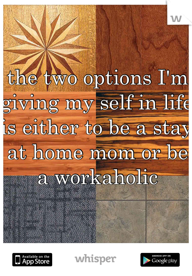 the two options I'm giving my self in life is either to be a stay at home mom or be a workaholic