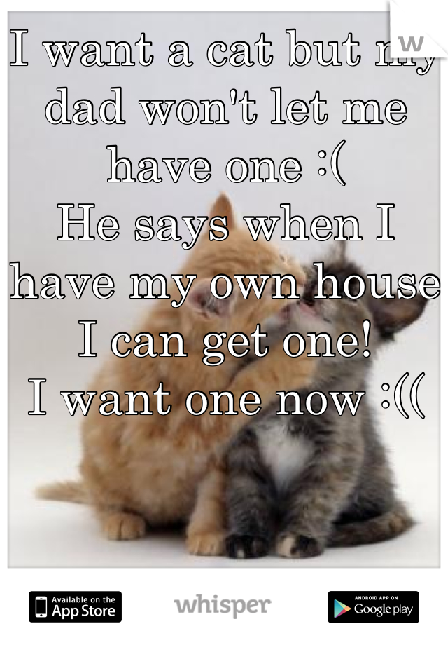 I want a cat but my dad won't let me have one :( 
He says when I have my own house I can get one!
I want one now :((