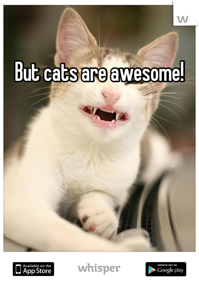 But cats are awesome!