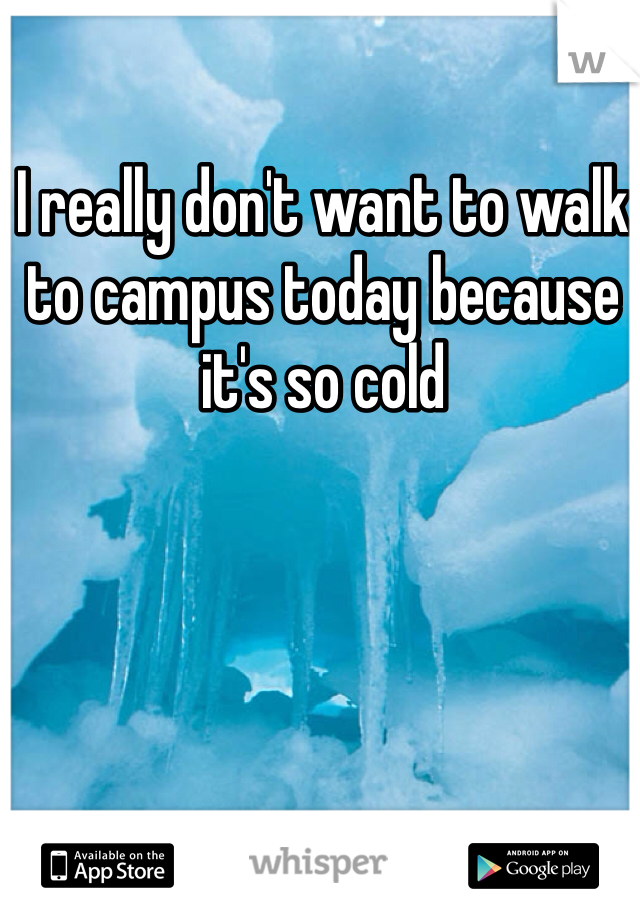 I really don't want to walk to campus today because it's so cold 