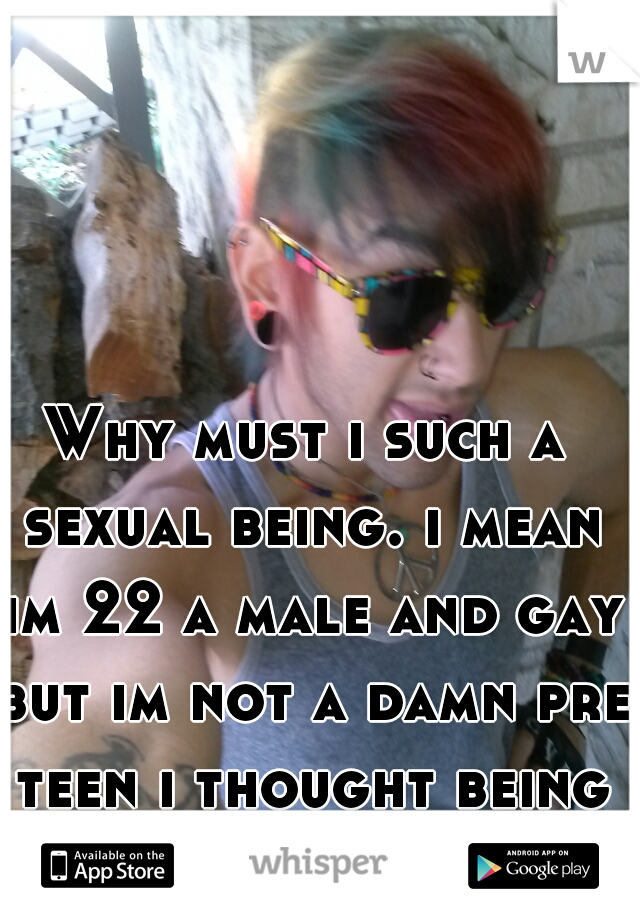 Why must i such a sexual being. i mean im 22 a male and gay but im not a damn pre teen i thought being this way would stop..
