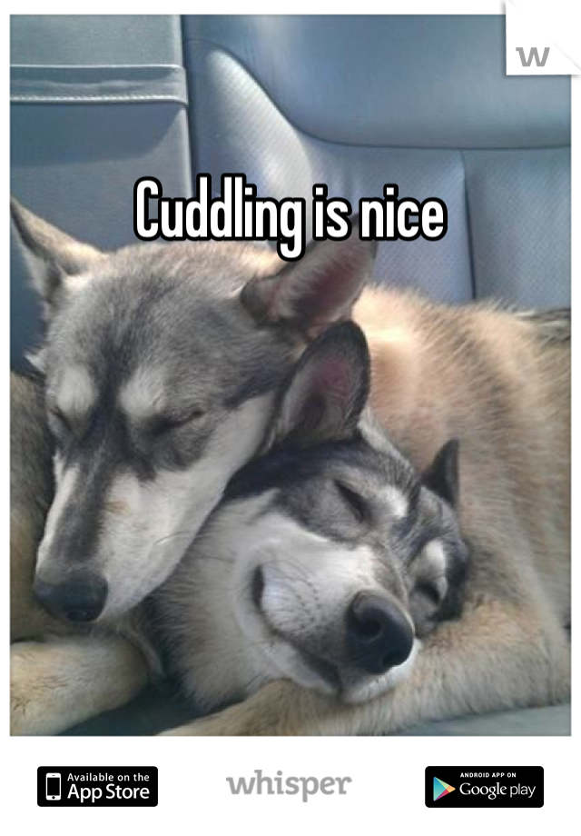 Cuddling is nice 
