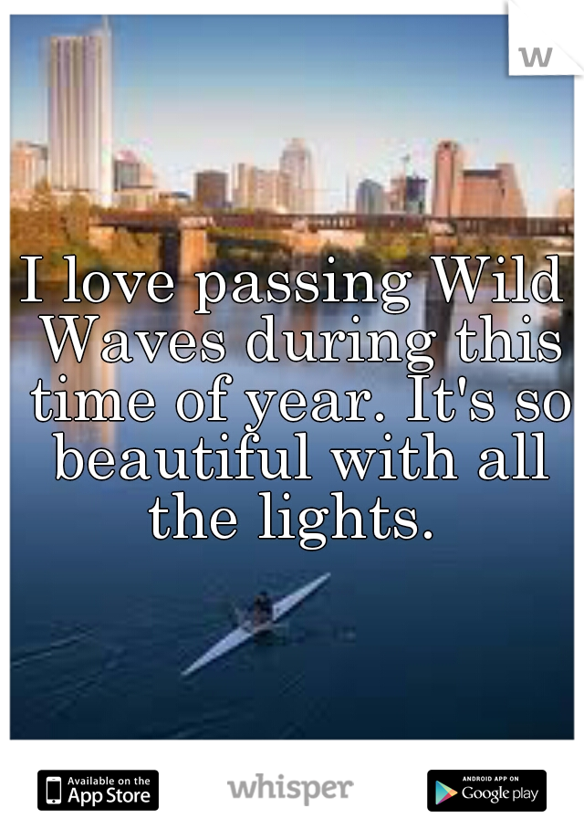 I love passing Wild Waves during this time of year. It's so beautiful with all the lights. 
