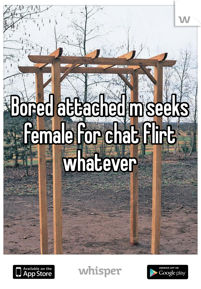Bored attached m seeks female for chat flirt whatever 