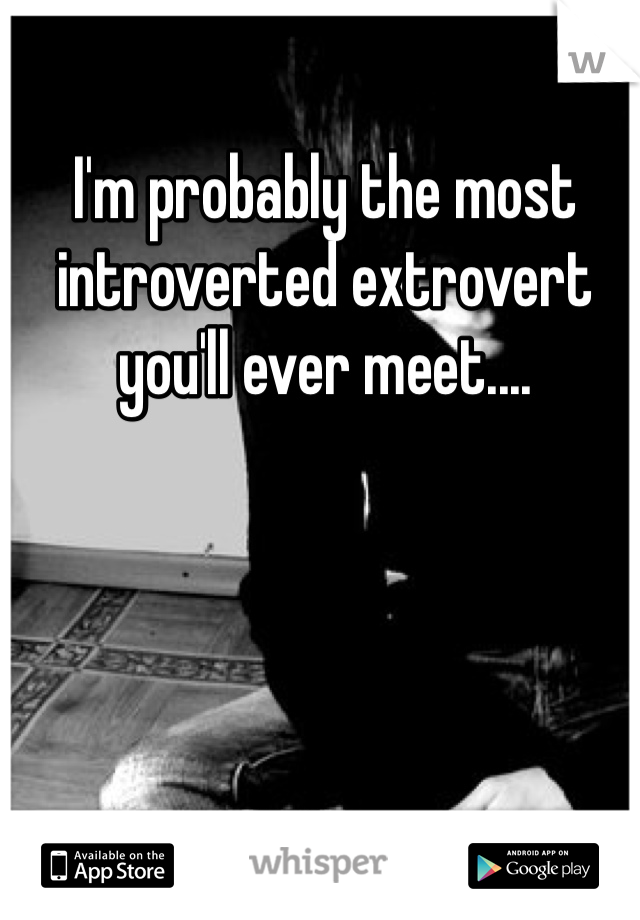 I'm probably the most introverted extrovert you'll ever meet....