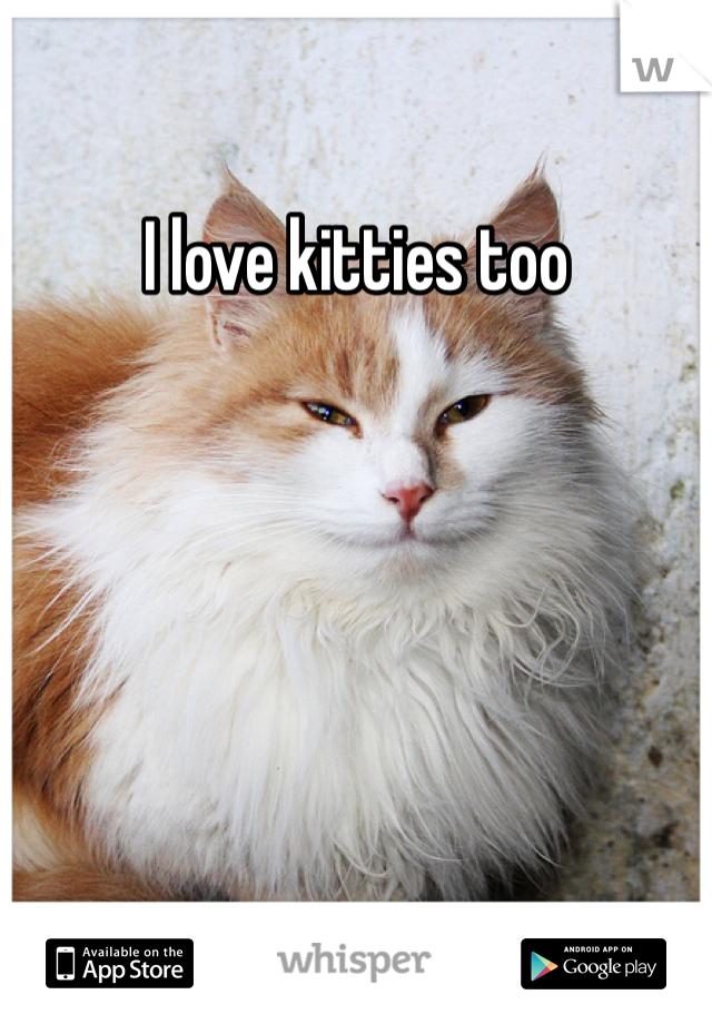 I love kitties too 