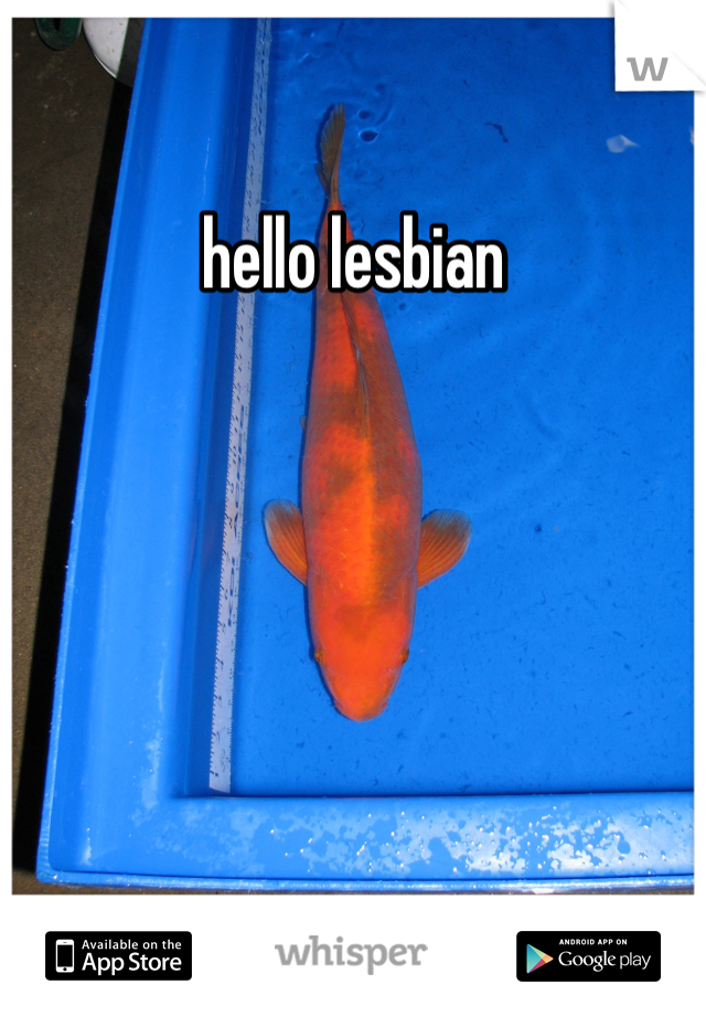 hello lesbian