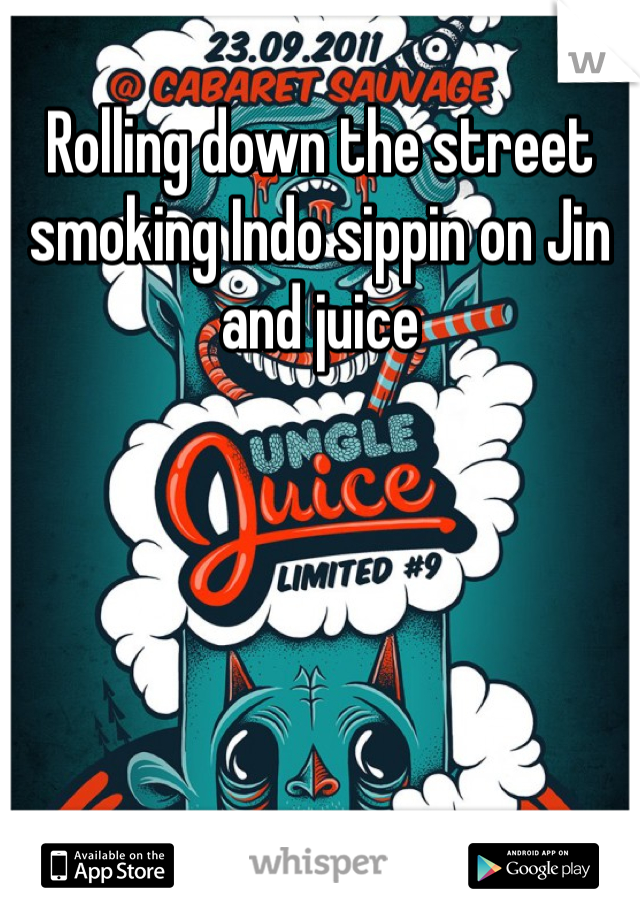 Rolling down the street smoking Indo sippin on Jin and juice 