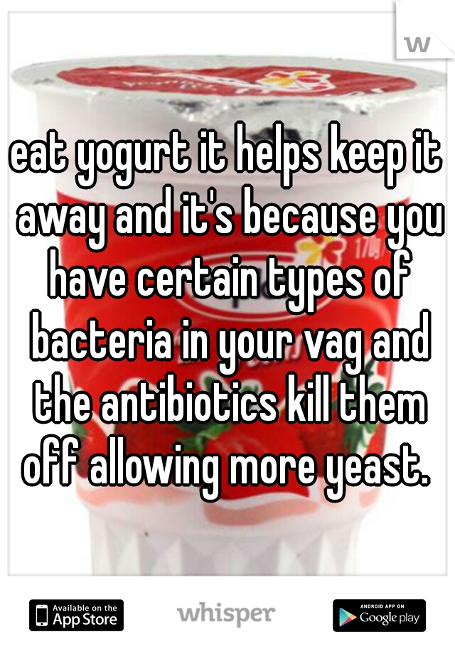 eat yogurt it helps keep it away and it's because you have certain types of bacteria in your vag and the antibiotics kill them off allowing more yeast. 