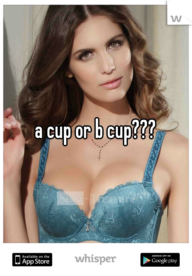 a cup or b cup???