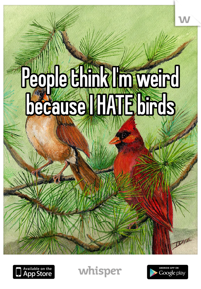 People think I'm weird because I HATE birds