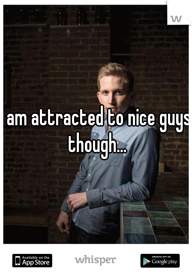 I am attracted to nice guys though...