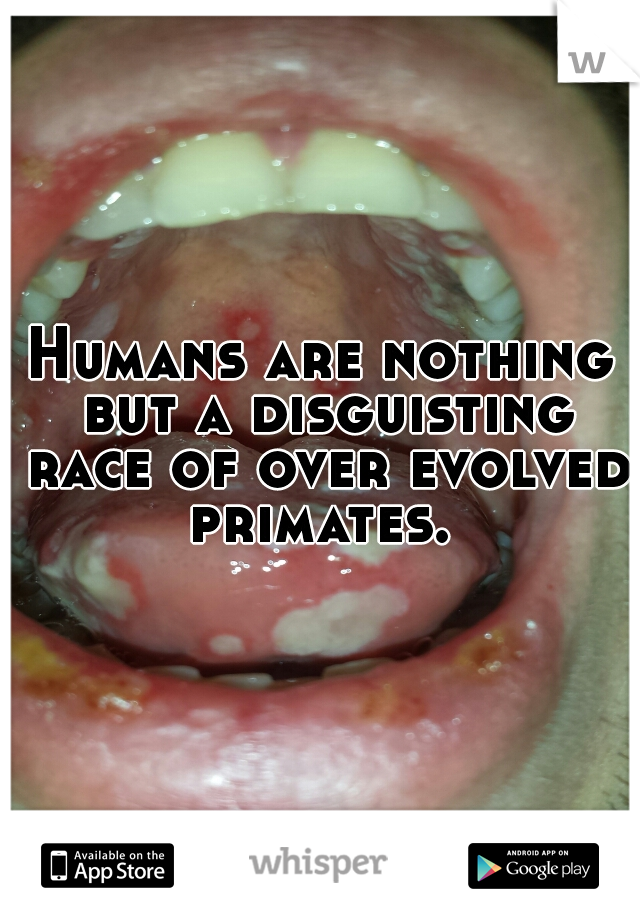 Humans are nothing but a disguisting race of over evolved primates. 