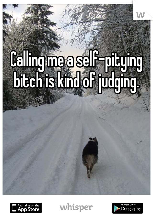 Calling me a self-pitying bitch is kind of judging.