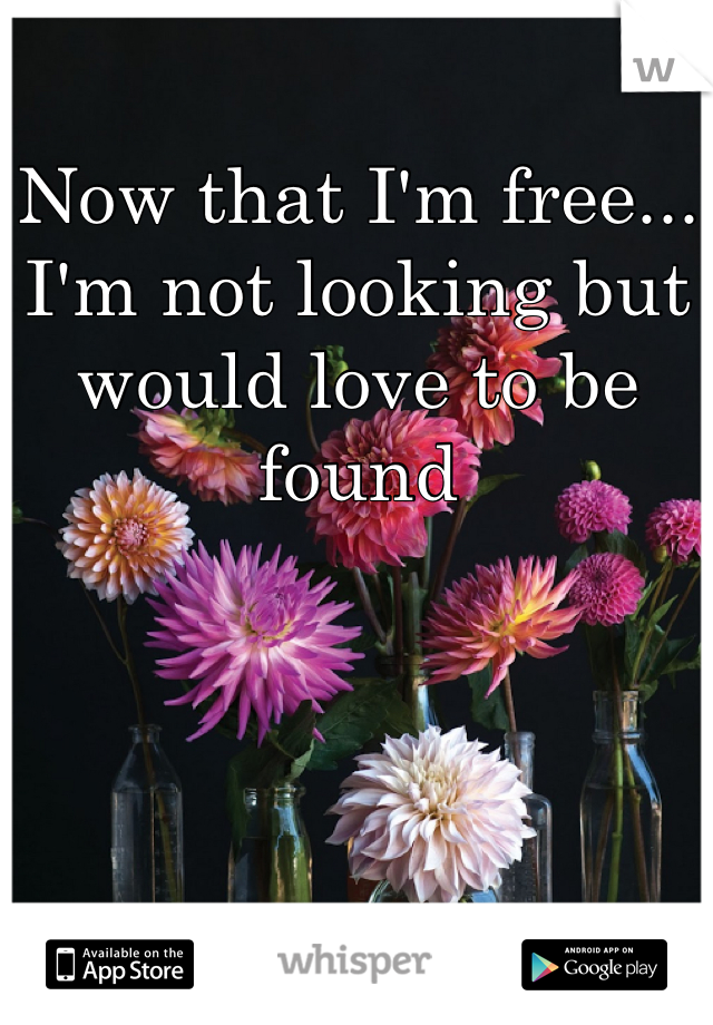 Now that I'm free... I'm not looking but would love to be found