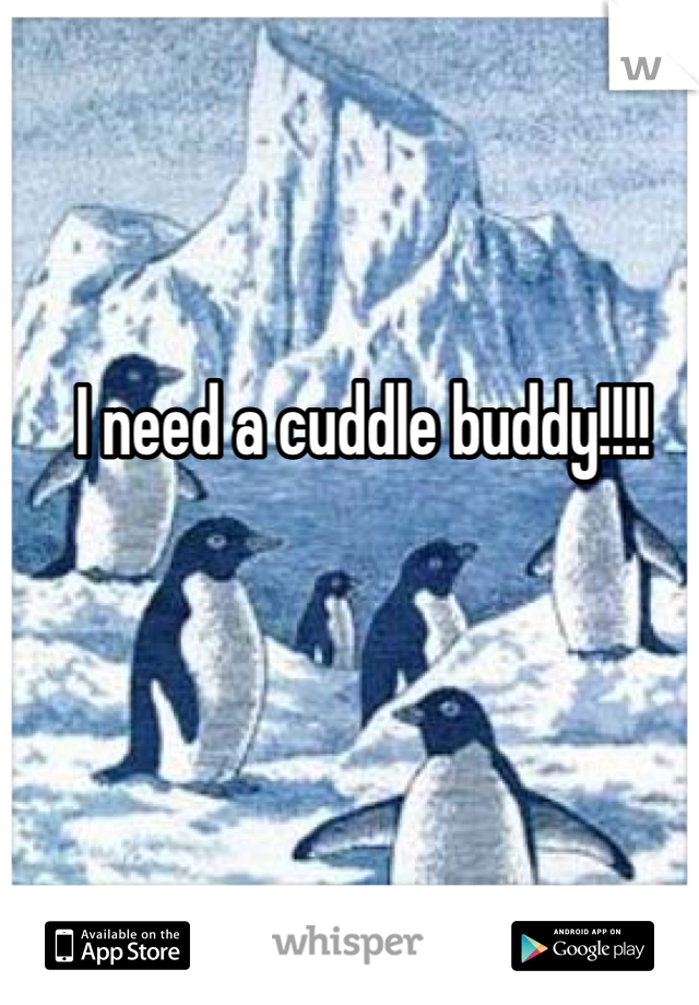 I need a cuddle buddy!!!!