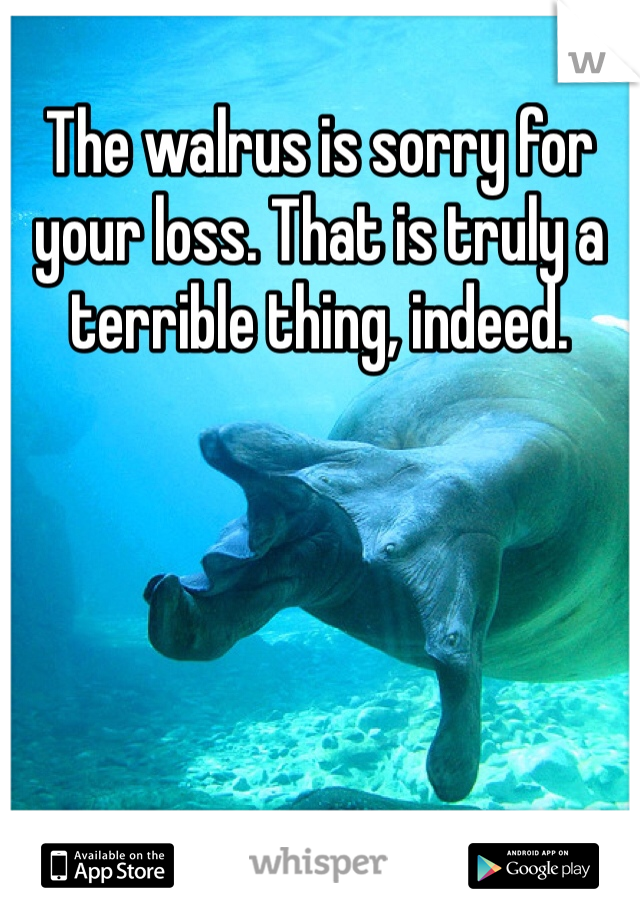 The walrus is sorry for your loss. That is truly a terrible thing, indeed. 