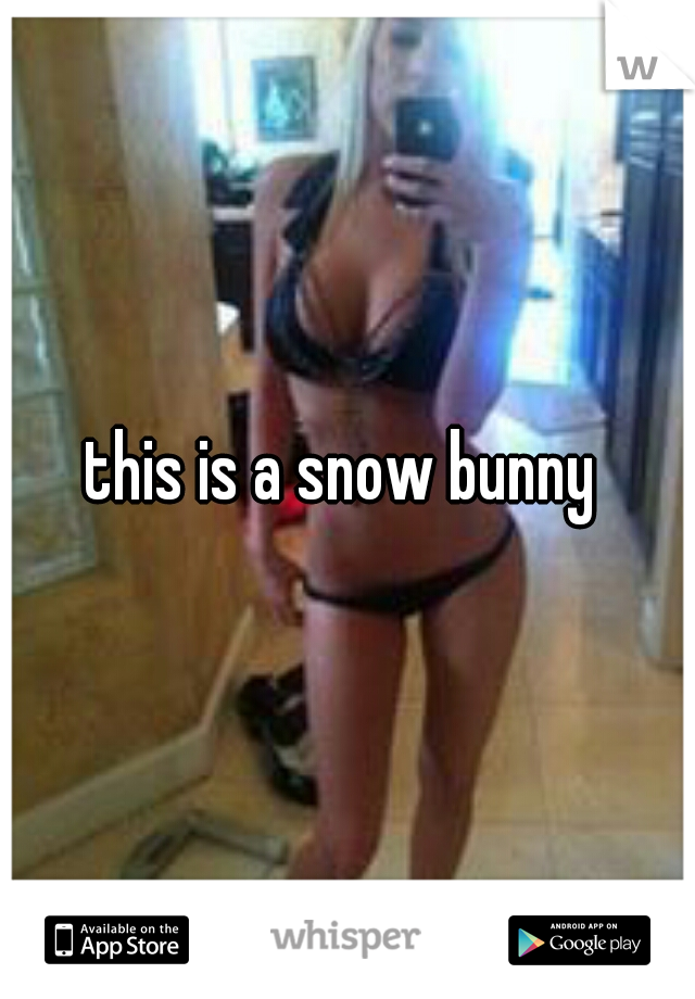 this is a snow bunny 