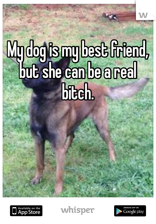 My dog is my best friend, but she can be a real bitch. 