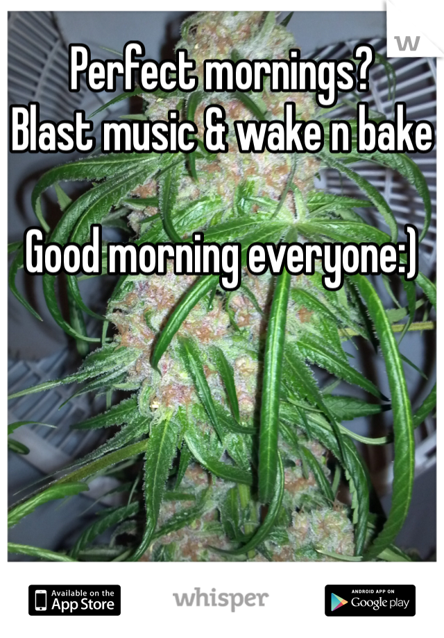 Perfect mornings?
Blast music & wake n bake

Good morning everyone:) 