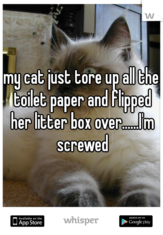 my cat just tore up all the toilet paper and flipped her litter box over......I'm screwed
