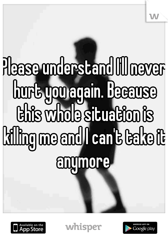 Please understand I'll never hurt you again. Because this whole situation is killing me and I can't take it anymore 