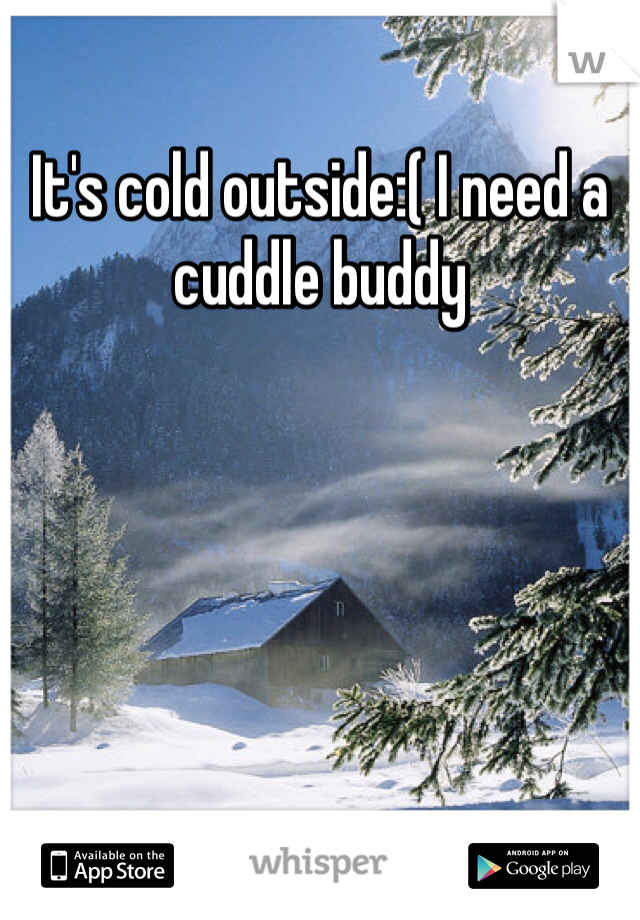 It's cold outside:( I need a cuddle buddy 